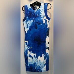 Carmen Marc Valvo Floral Blue and White Dress